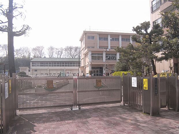 横浜市立三ツ沢小学校(約288m)
