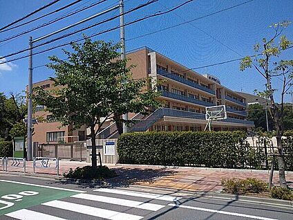 江戸川区立第三松江小学校 786m