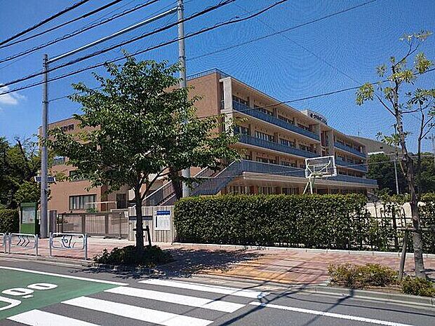 江戸川区立第三松江小学校(約786m)