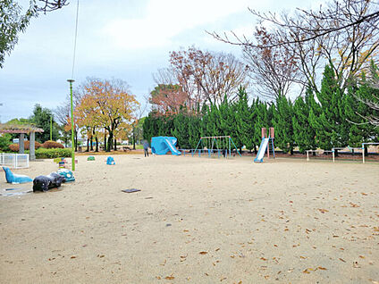 園田公園 811m