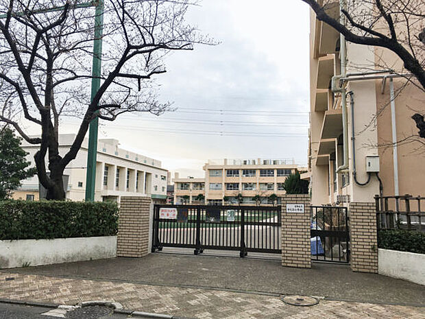 葛飾区立中之台小学校(約275m)