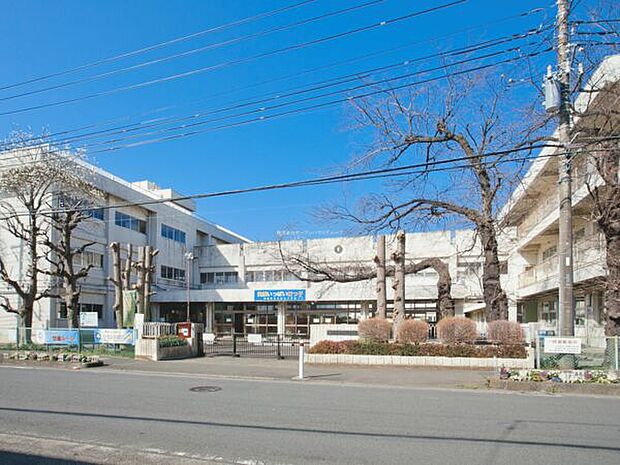 相模原市立桜台小学校(約338m)