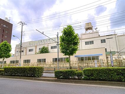 江東区立東川小学校 303m