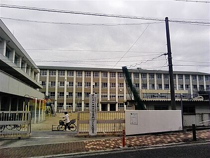 名古屋市立白鳥小学校 1145m