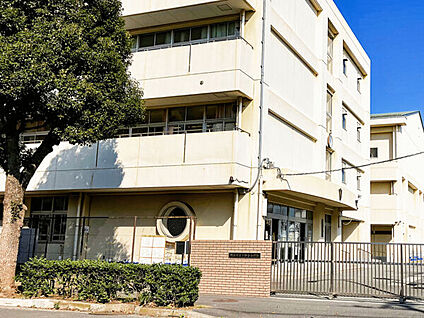 横浜市立下野谷小学校 52m
