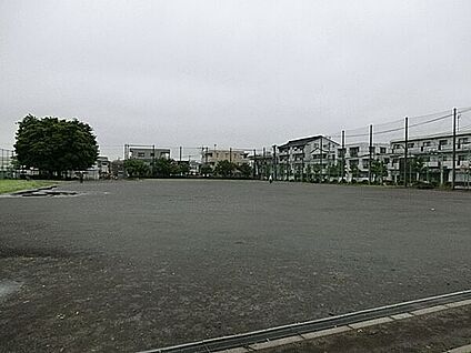 新川あおやぎ公園 816m