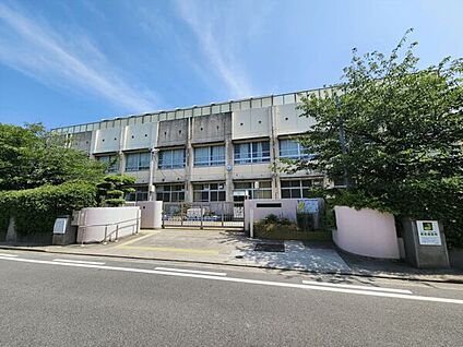 堺市立浜寺昭和小学校 389m