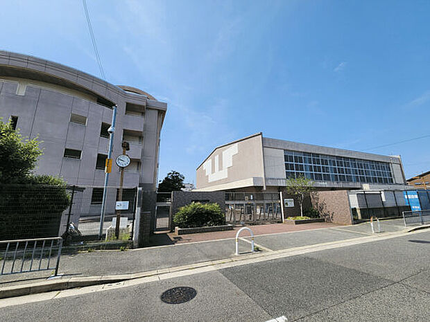 堺市立浜寺南中学校(約833m)