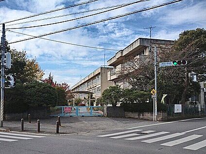 柏市立土南部小学校 1187m