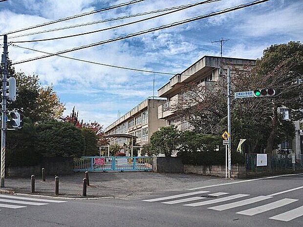 柏市立土南部小学校(約1,187m)