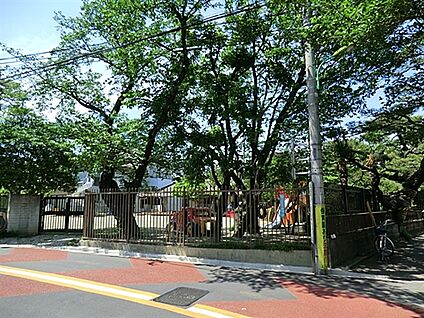 早苗保育園 249m