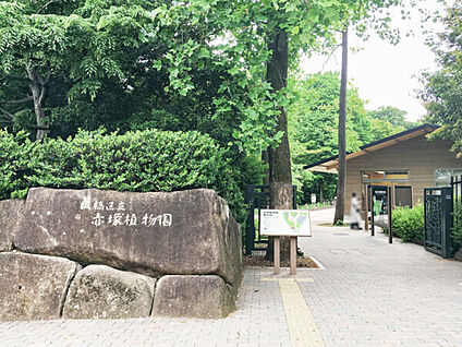 板橋区立赤塚植物園 1025m