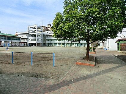 横浜市立生麦小学校 309m