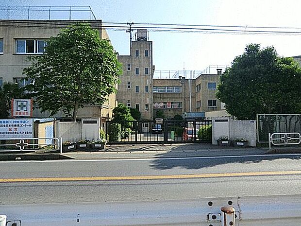 柏市立酒井根中学校(約1,176m)