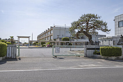 伊勢崎市立殖蓮小学校 910m