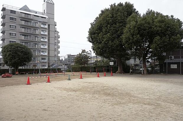 栄町公園(約629m)