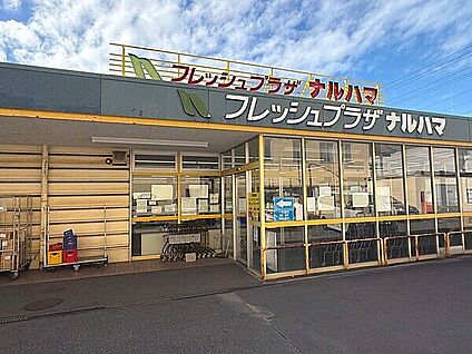 ピアゴラフーズコア 柴田店 1217m