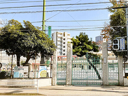横浜市立豊岡小学校 592m