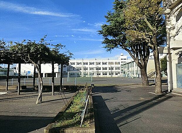 横浜市立南瀬谷小学校（約745m）