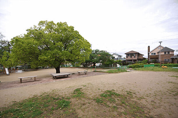 万場山公園（約337m）