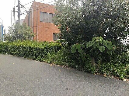 多の津2号緑地 722m