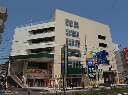 食品館あおば六角橋店 426m