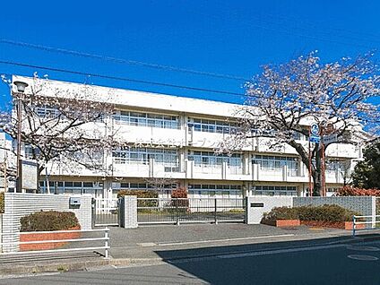 横浜市立いぶき野小学校 800m