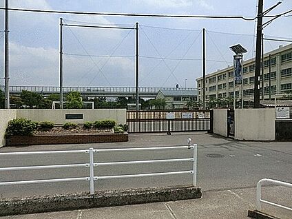 茅ヶ崎市立今宿小学校 914m