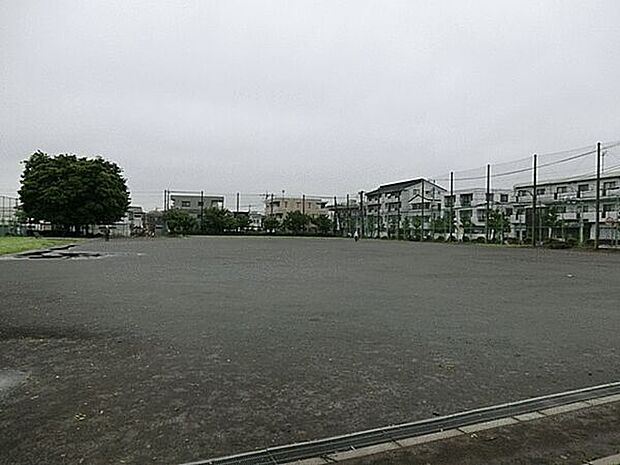新川あおやぎ公園（約216m）