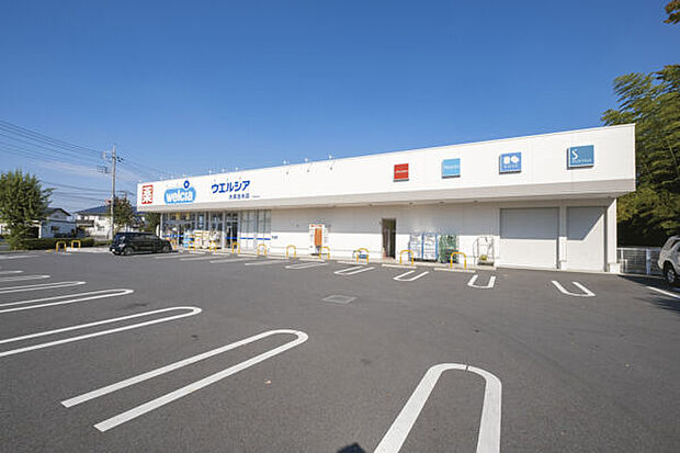 ウエルシア大泉古氷店(約1,131m)