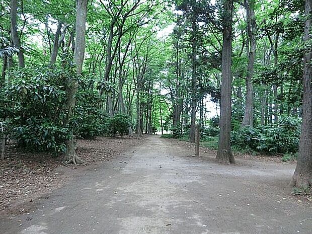 松ヶ丘ふるさと公園(約382m)