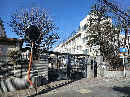中野区立美鳩小学校 439m