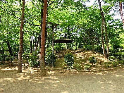 国分寺市立けやき公園 1303m