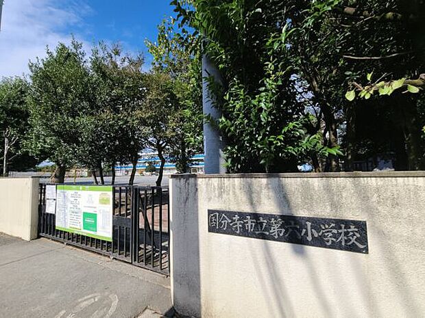 国分寺市立第六小学校(約1,084m)
