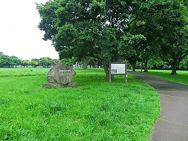 姥山貝塚公園(約1,050m)