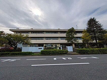 浦安市立見明川中学校 1293m