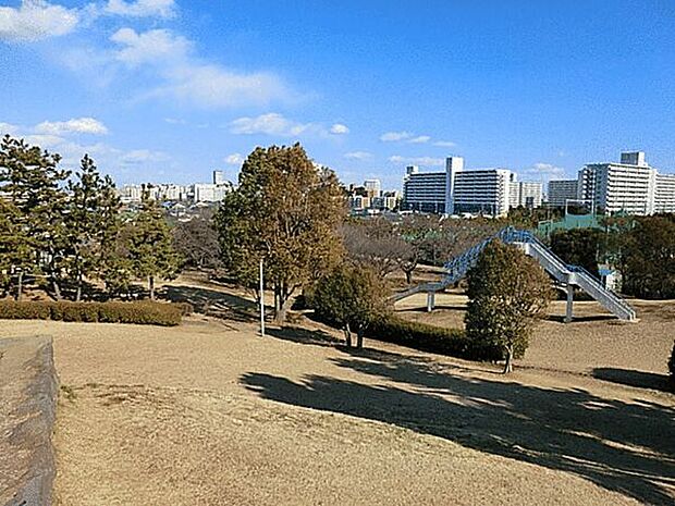 中央公園（約816m）