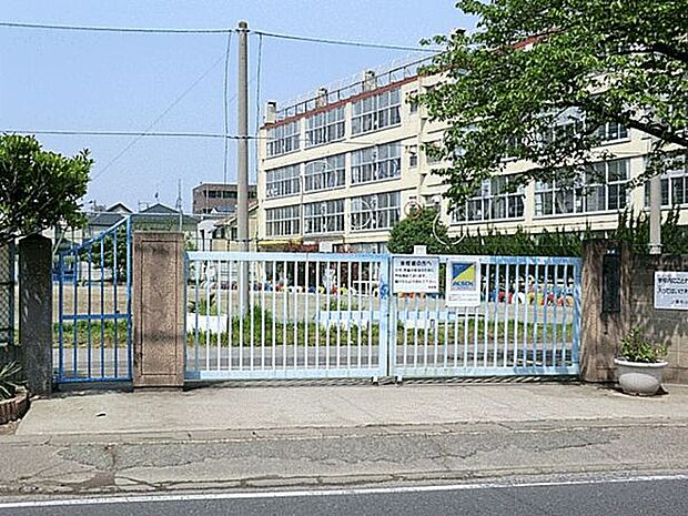 川口市立上青木小学校（約429m）