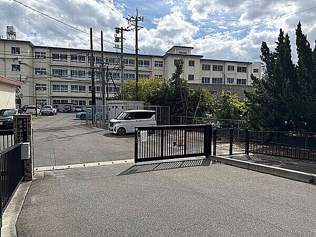 糸島市立波多江小学校(約1,050m)