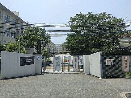 福岡市立名島小学校 810m