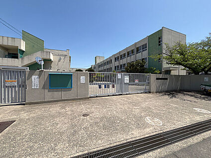 枚方市立平野小学校 585m