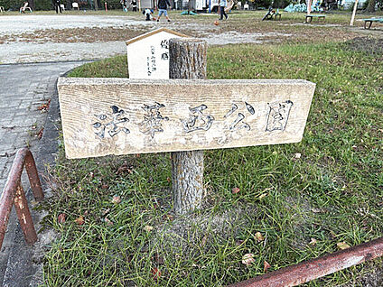 法華西公園 417m