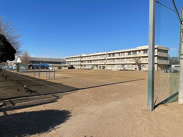 千葉市立花園小学校(約535m)