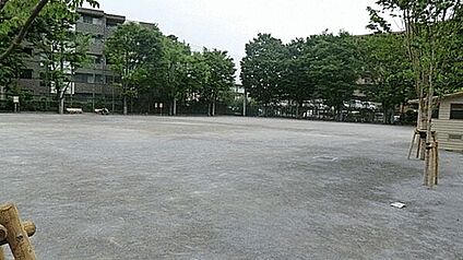 谷戸運動公園 591m