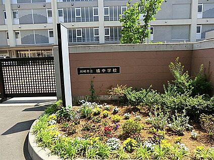 川崎市立橘中学校 571m