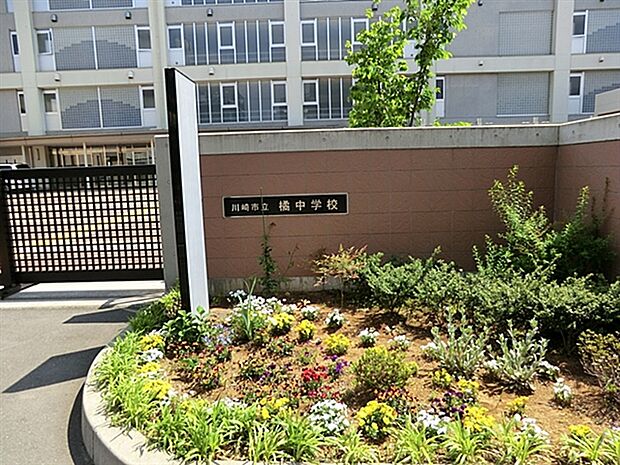 川崎市立橘中学校（約571m）