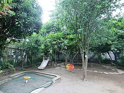 阿佐谷かりん公園 538m