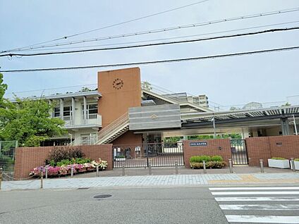 尼崎市立成良中学校 436m