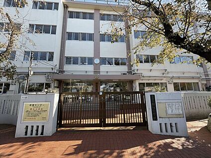 豊島区立駒込小学校 586m
