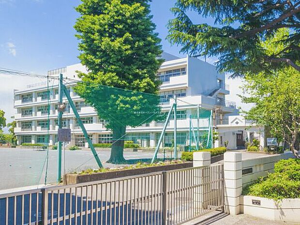 横浜市立石川小学校(約312m)